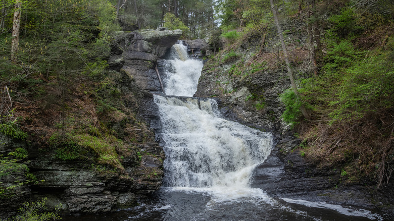 View of Raymondskill Falls