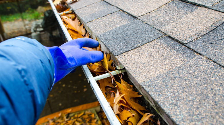 Person cleaning a gutter filled with leaves