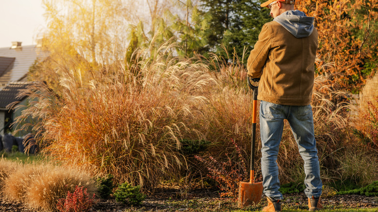 Man standing and holding a shovel to plant something in a fall setting