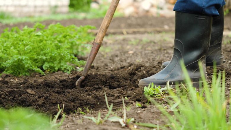boots of a farmer tilling the soil