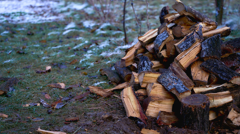 Pile of wet firewood