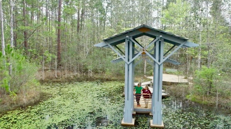 View of The Crosby Arboretum