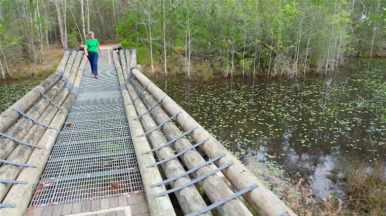 Woman walking across bridge at the Crosby Arboretum