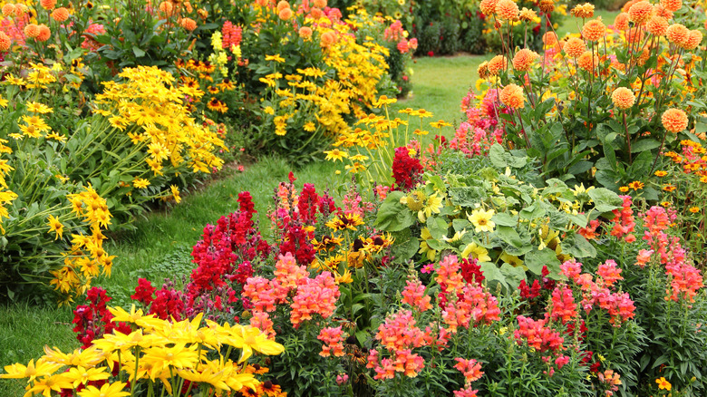 Garden with a variety of flowers in fall colors