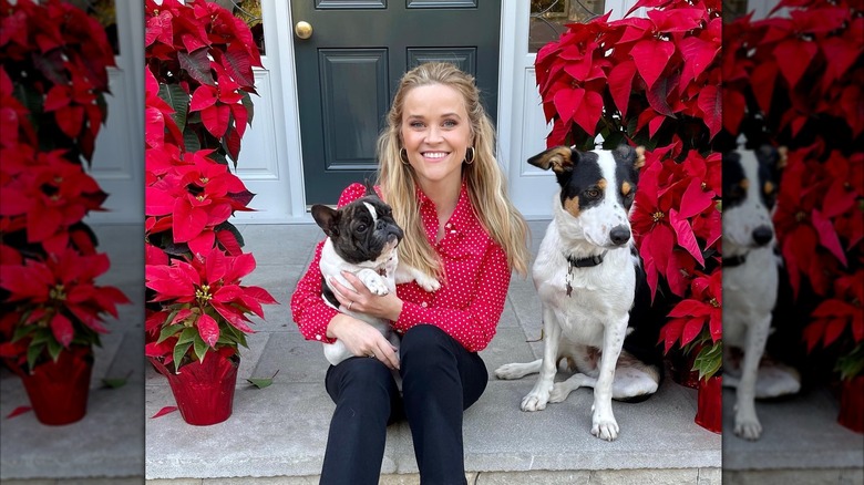 Reese Withspoon with her dogs on her front porch surrounded by potted poinsettias