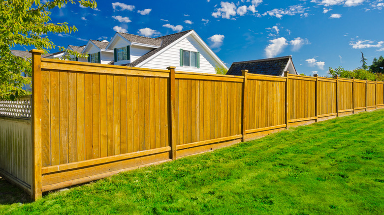 Board-on-board cedar privacy fence