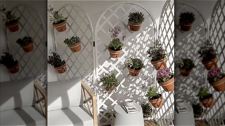 Blooming flowers on a length of a movable trellis wall