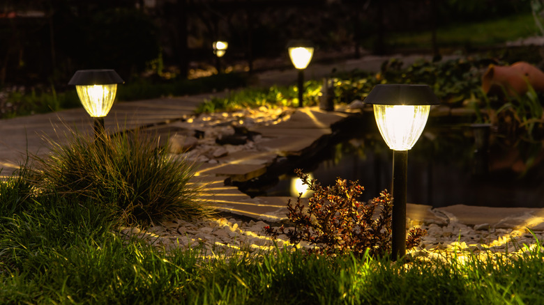 solar lights at night