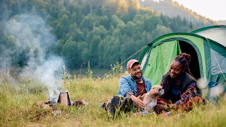 Campers and their dog with a campfire smoldering