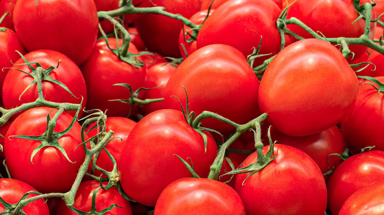 Super ripe tomatoes on the vine