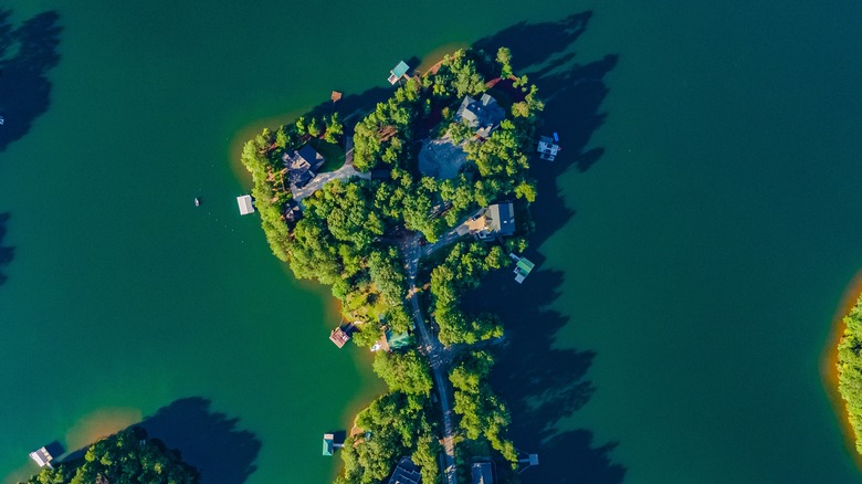 a family stands on a dock at Lake Wedowee