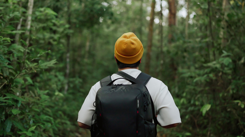 Backpaker traveling through woods