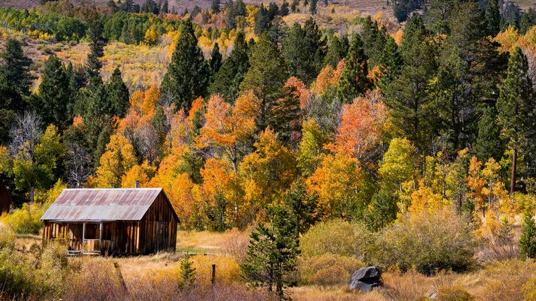 a cabin in Hope Valley during fall