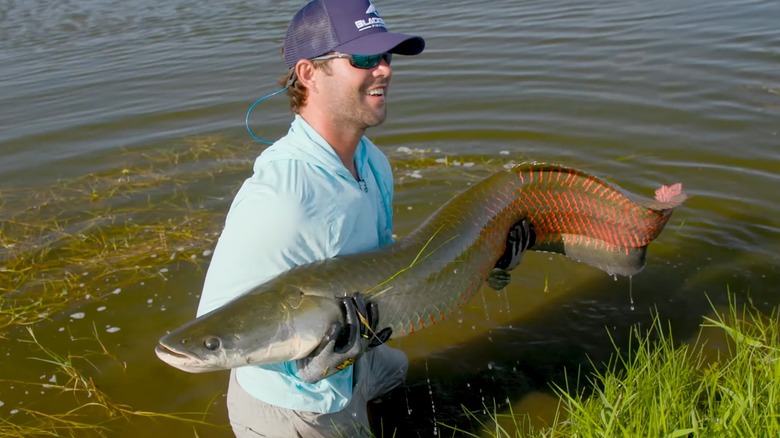 Josh Jorgensen holding arapaima in a pond
