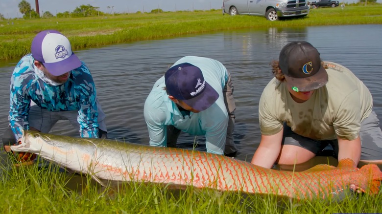 Josh Jorgensen and other men holding arapaima