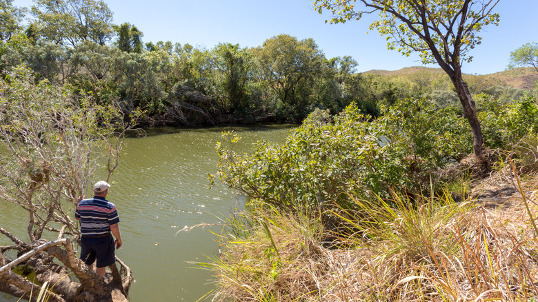 Hiker overlooking the river