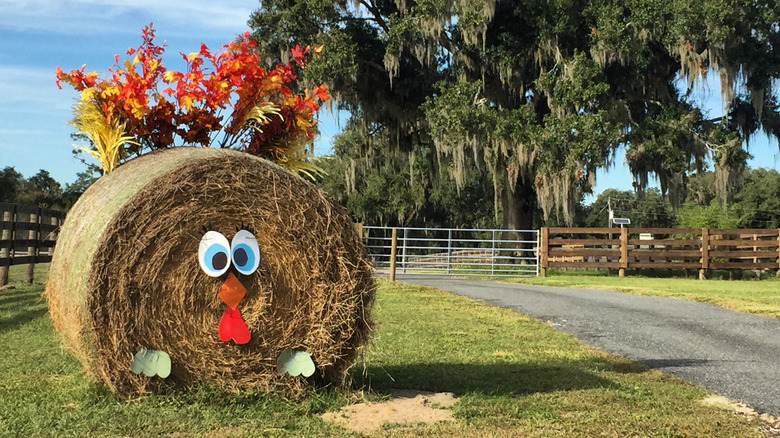 Round hay bale decorated as a turkey