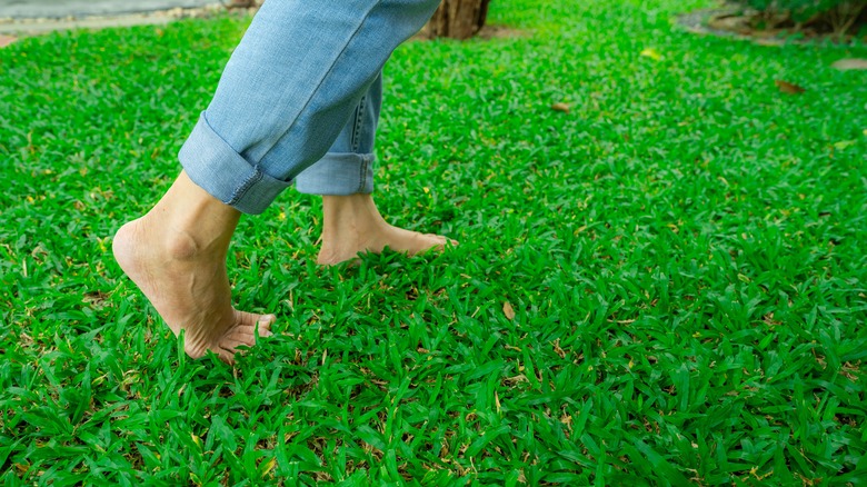 Person walking on their lawn