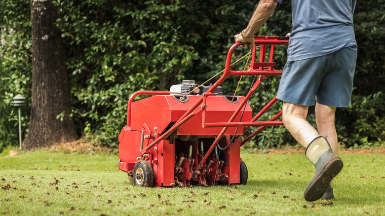 Man aerating a residential lawn