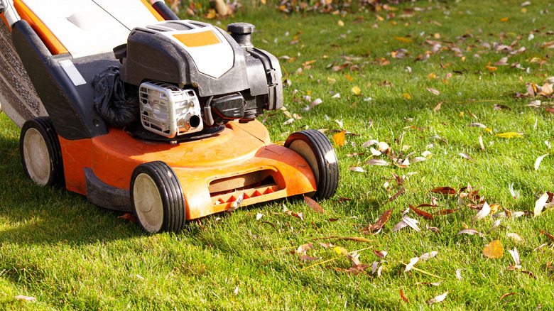 Lawn mower cutting grass in fall
