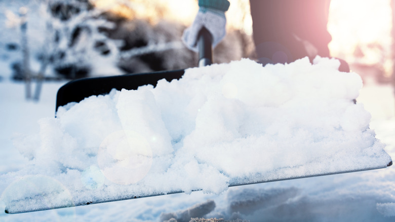 Person shoveling snow