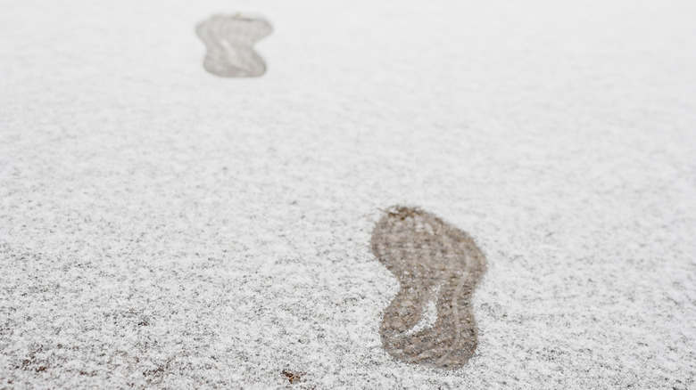 footsteps in snow-covered grass