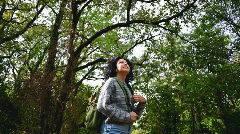 Backpacker looking up at a forest