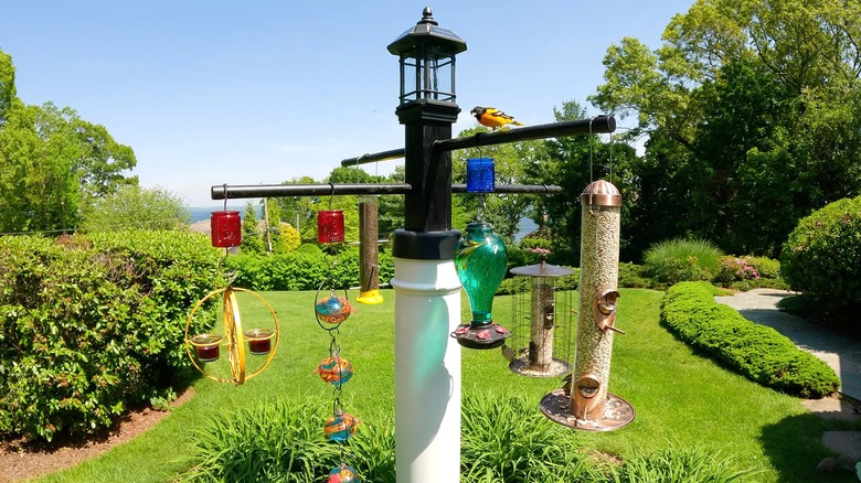 Squirrel-proof bird feeder pole with multiple feeders