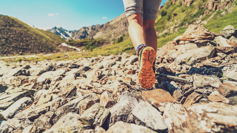 A hiker in the mountains