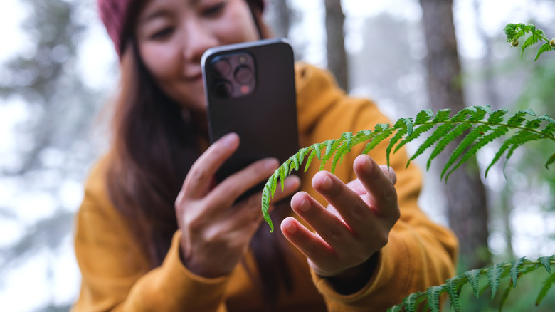A woman taking photos of a plant with her smartphone