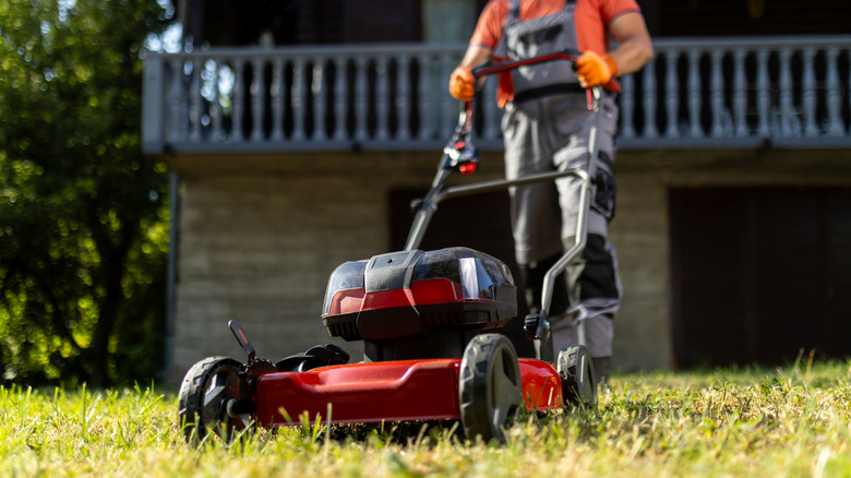 Person mowing lawn with push mower