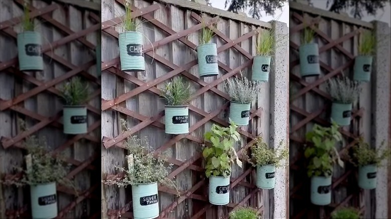 Hanging planters on a trellis wall frame