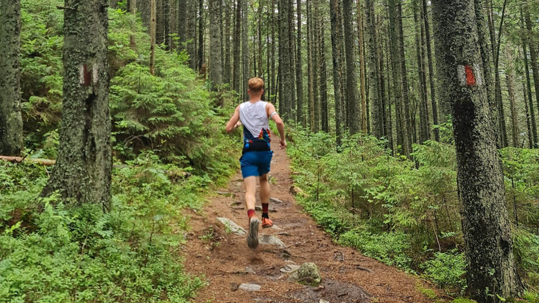 Women trail running in a lush forest