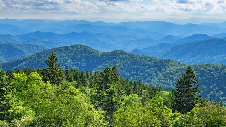 The Blue Ridge near Asheville