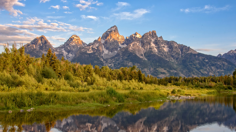 The Grand Tetons