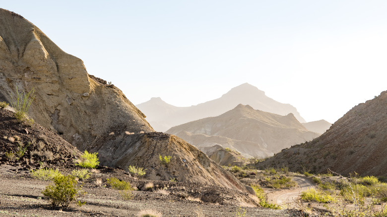 The Christmas Mountains outside Terlingua