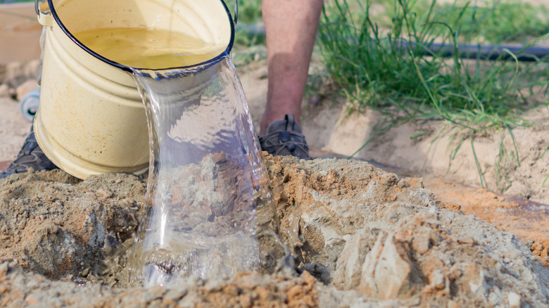 Pouring boiling water into excavated soil with ant colonies