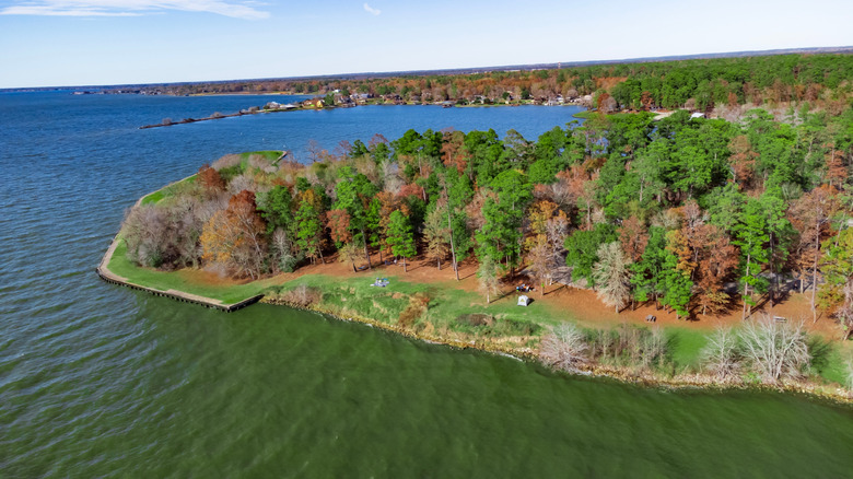 An aerial shot of Lake Livingston park, showing various different colored trees