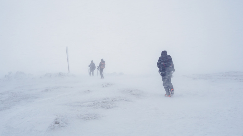 Men hiking in a blizzard