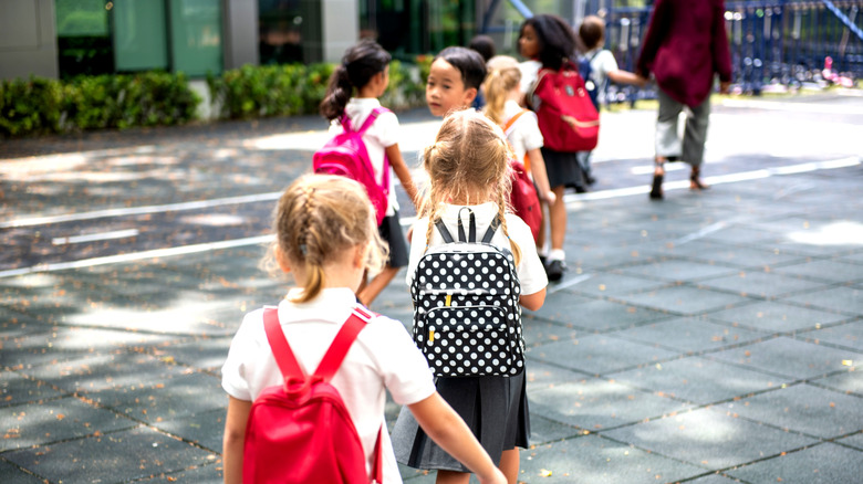 A group of modern schoolchildren lined up to go to a school playground