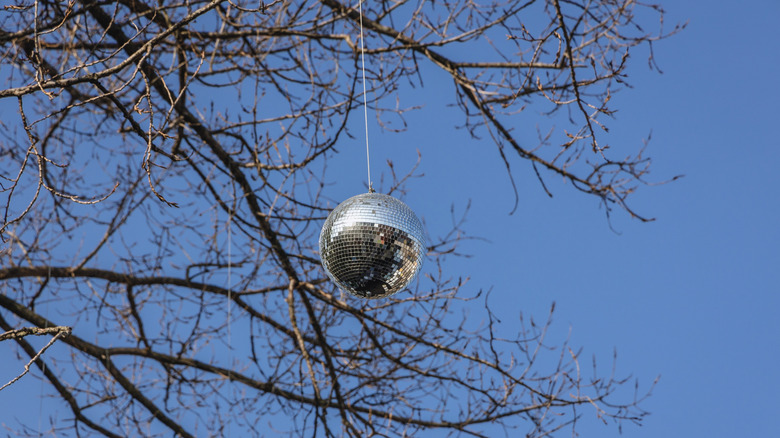 disco ball hanging on a tree in a yard