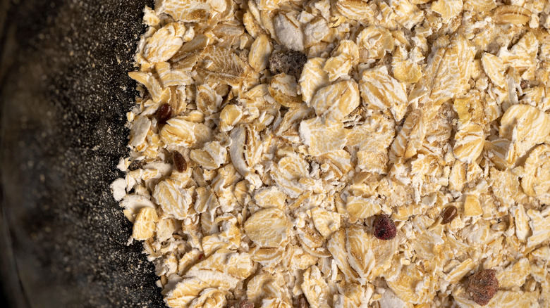 Close up of oats
