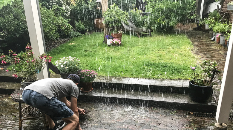 Man in garden leaning down as heavy rain pours