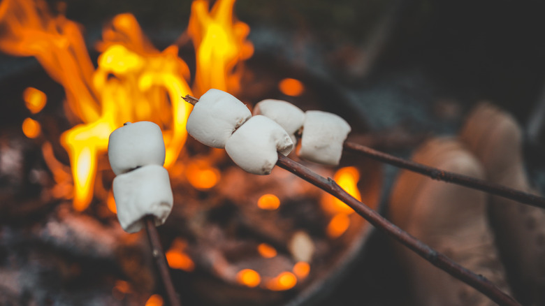 Marshmallows on sticks roasting over a campfire