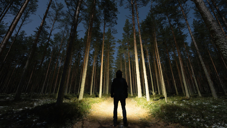 Person wearing a headlamp with trail illuminated