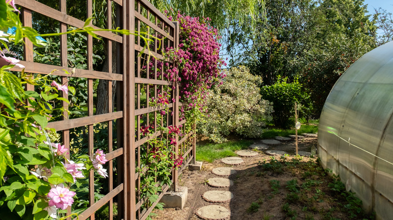 Various flowers growing up a trellis