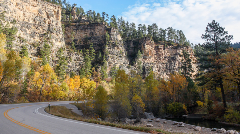 View of mountainous fall foliage from South Dakota highway