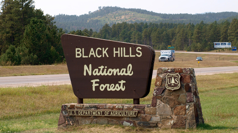 Black Hills National Forest sign
