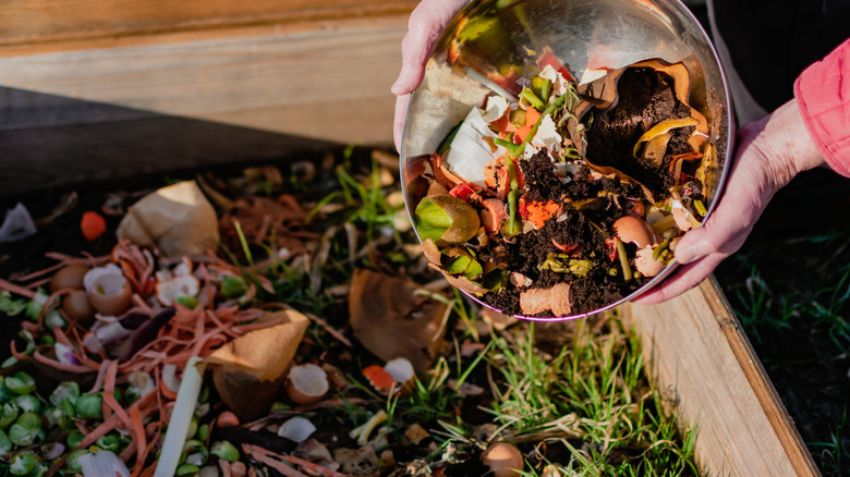 Coffee grounds being added in with compost