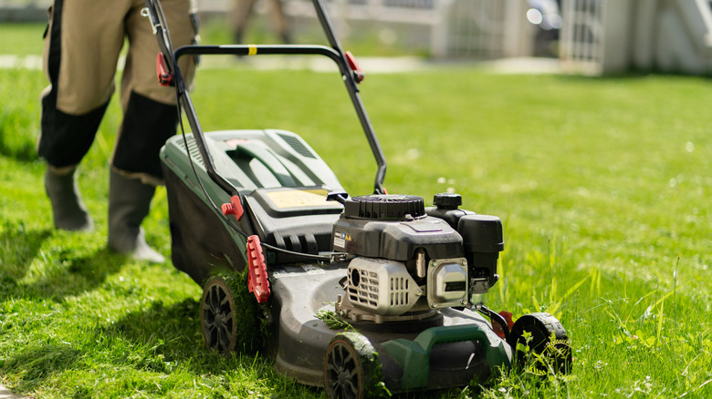 Man mowing lawn